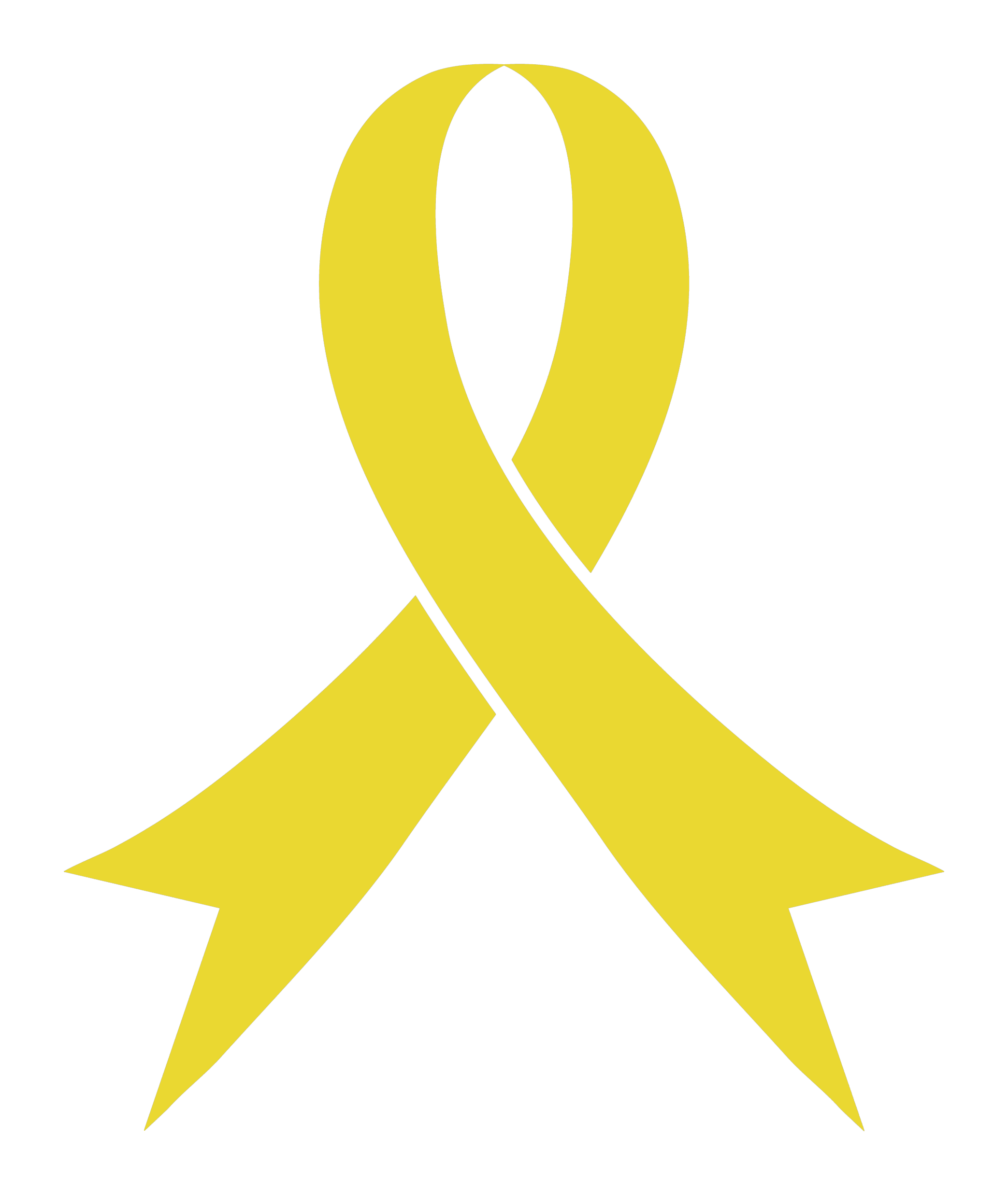 Spina bifida awareness ribbon